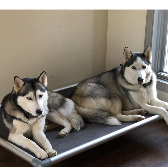 STARKKISS here… like this listing to be notified when I go live 🖤⭐️🖤 - Picture 11 of 15